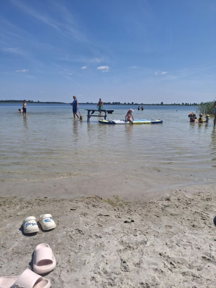 Działka rekreacyjna Kamienica, Zielony zakątek. Zdjęcie 15