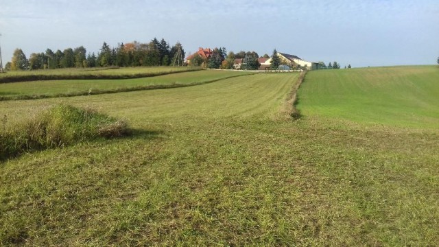 Działka rolno-budowlana Sejny. Zdjęcie 1