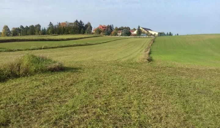 Działka rolno-budowlana Sejny