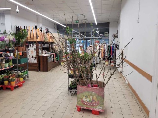 Lokal Lublin Rury, ul. Tomasza Zana. Zdjęcie 1