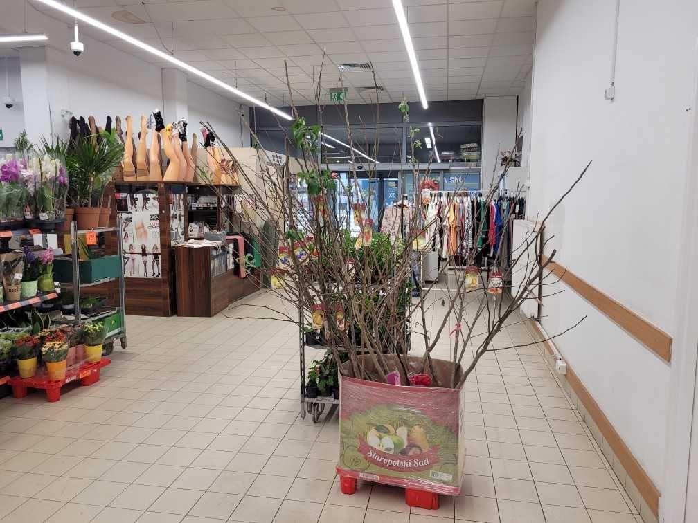 Lokal Lublin Rury, ul. Tomasza Zana