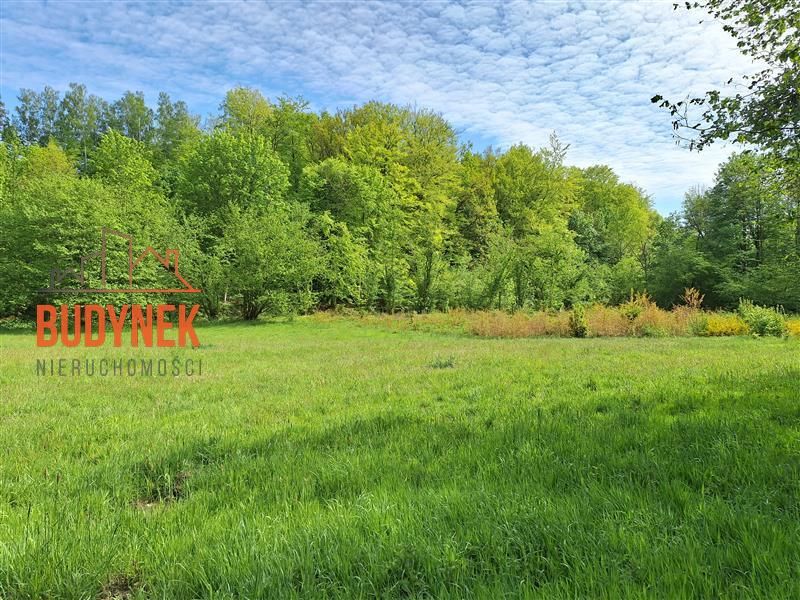 Działka rolna Paproty. Zdjęcie 7