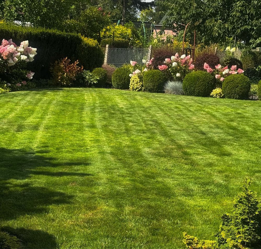 Działka rod Głogów, ul. Adama Mickiewicza. Zdjęcie 2