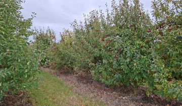 Działka rolna Kamionka