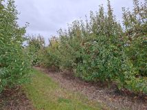 Działka rolna Kamionka. Zdjęcie 1