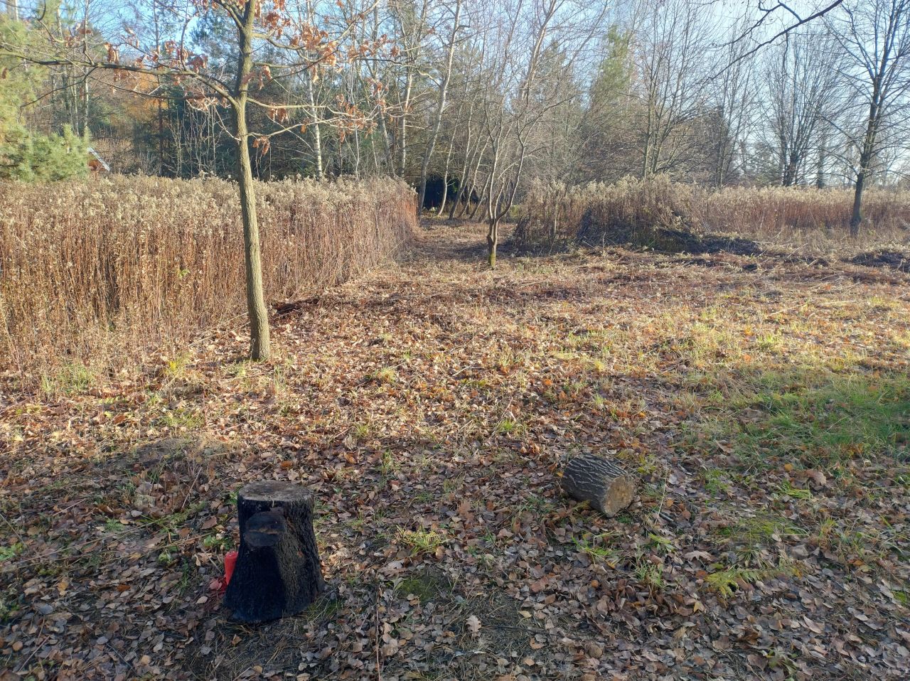 Działka budowlana Charlęż. Zdjęcie 3