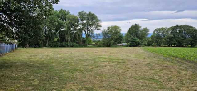 Działka siedliskowa Komarno. Zdjęcie 5