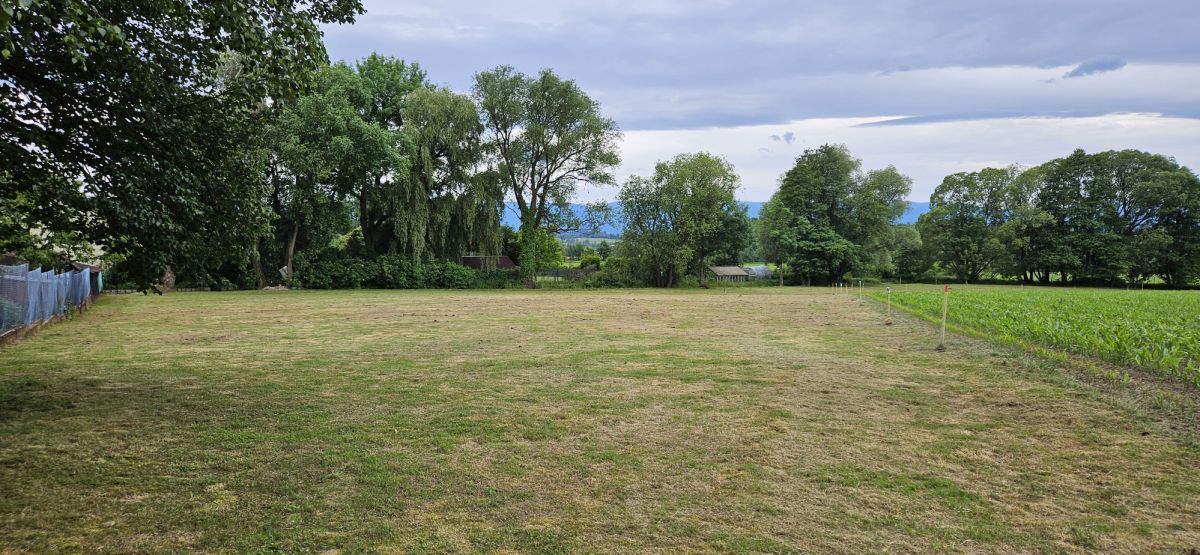 Działka siedliskowa Komarno. Zdjęcie 5