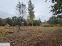 Działka budowlana Pawłowice, ul. Akacjowa. Zdjęcie 1