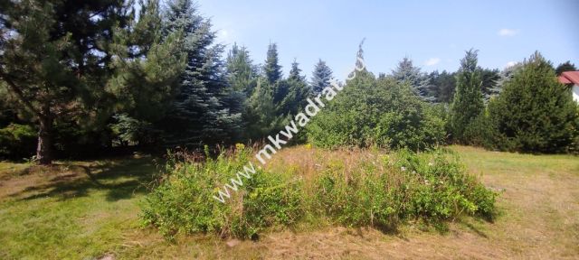 siedlisko, 3 pokoje Budy Wolskie. Zdjęcie 6