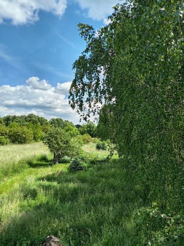 Działka rolno-budowlana Radomsko Zakrzówek, spacerowa. Zdjęcie 3