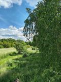 Działka rolno-budowlana Radomsko Zakrzówek, ul. Spacerowa. Zdjęcie 2