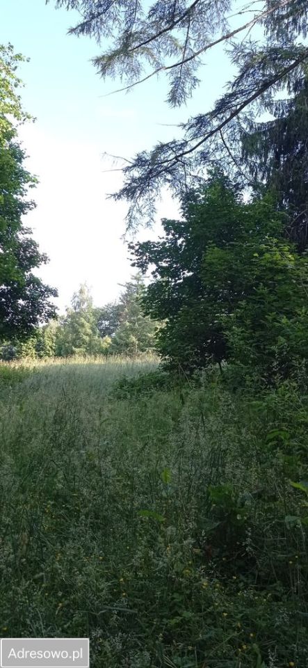 Działka budowlana Cetuń. Zdjęcie 8