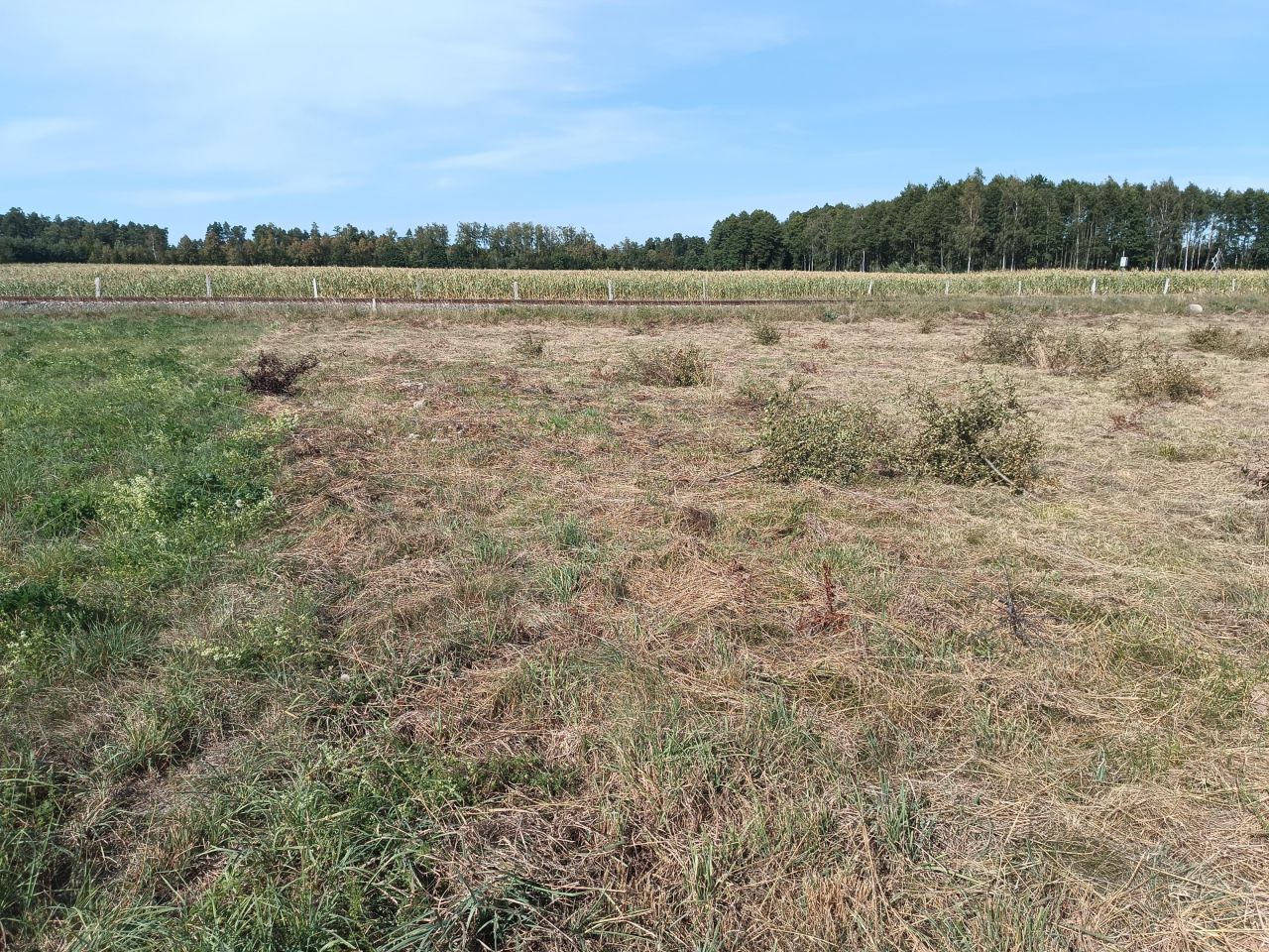 Działka budowlana Stare Guty. Zdjęcie 4