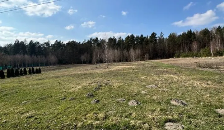 Działka budowlana Wojciechówka