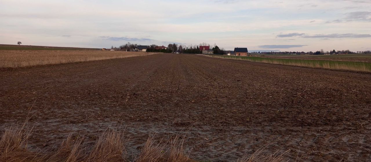 Działka budowlana Jabłonna Pierwsza. Zdjęcie 5