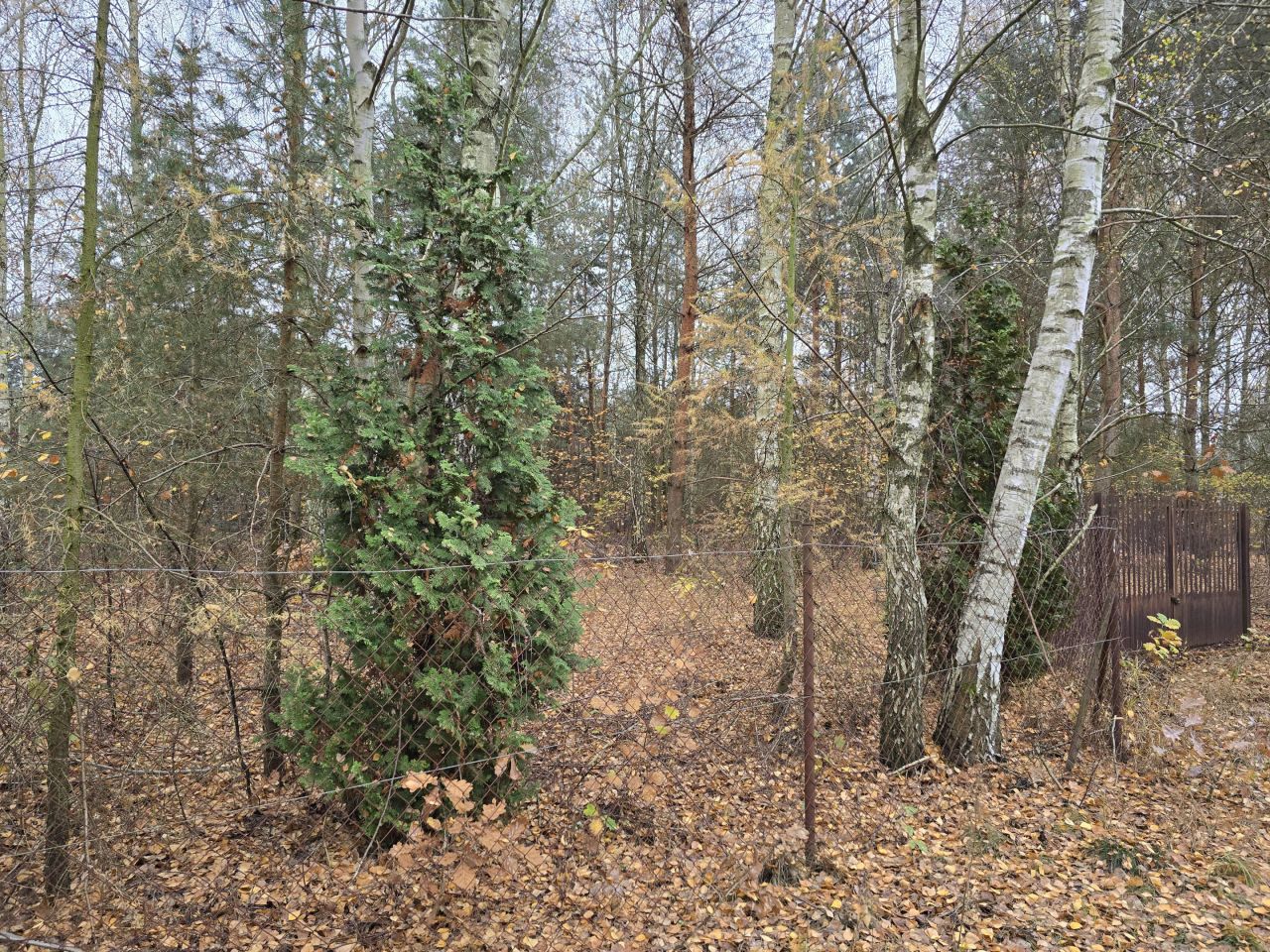 Działka budowlana Helenów, ul. Gruntowa