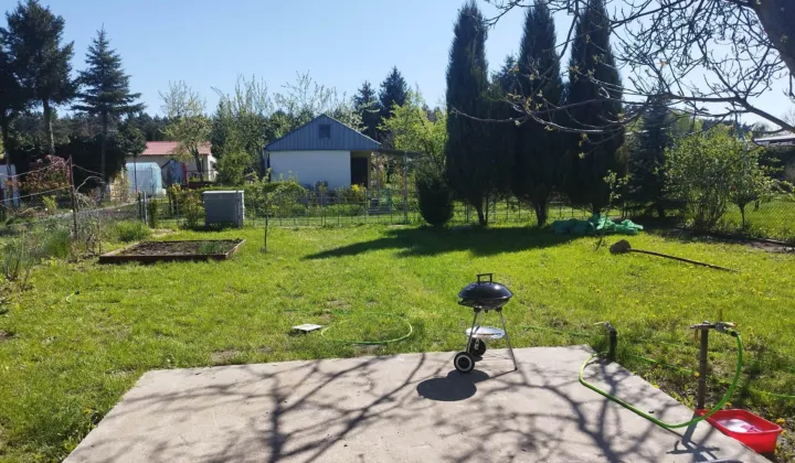 Działka rod Konin, ul. Świętojańska