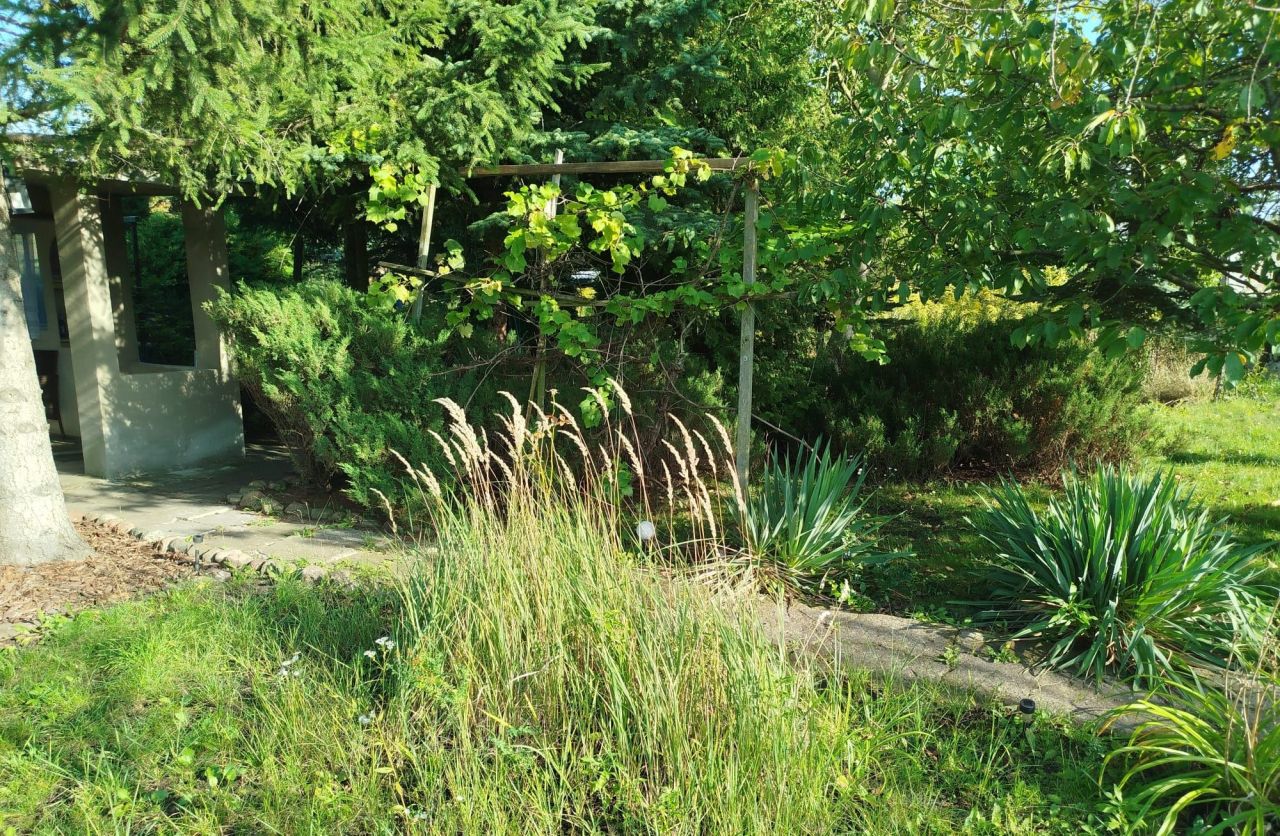 Działka rod Inowrocław. Zdjęcie 7