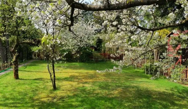 Działka rod Łagiewniki Nowe