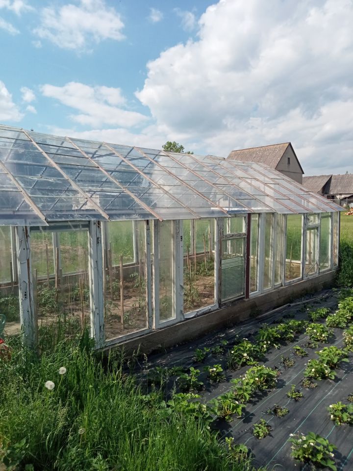budynek wielorodzinny, 8 pokoi Krypno Kościelne. Zdjęcie 2