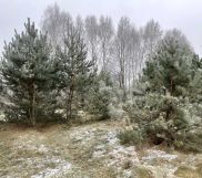 Działka budowlana Nowy Wilków. Zdjęcie 2