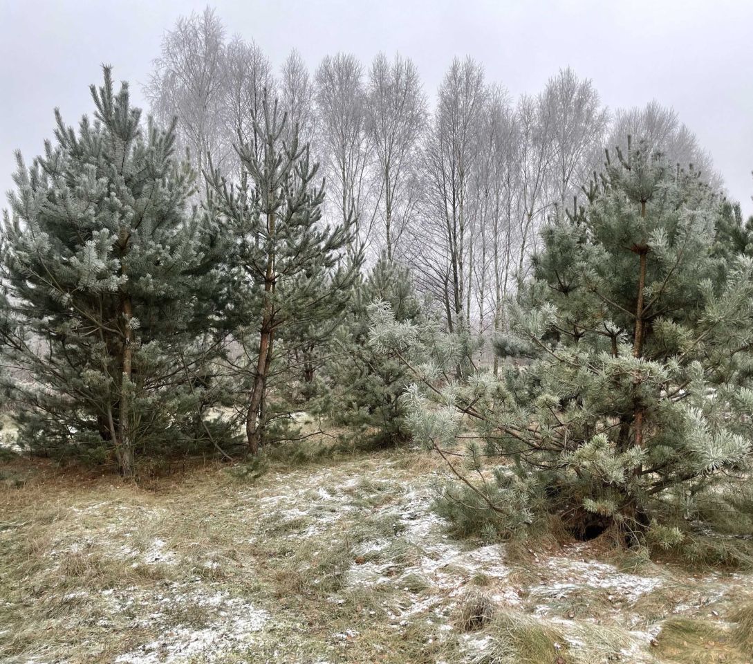 Działka budowlana Nowy Wilków. Zdjęcie 3