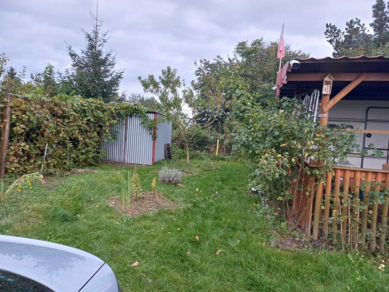 Działka rod Mrocza, ul. marsz. Józefa Piłsudskiego. Zdjęcie 3