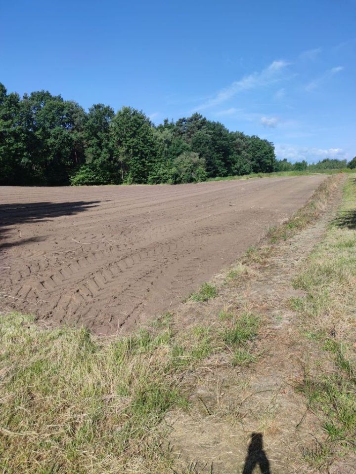 Działka rolna Opoka Duża