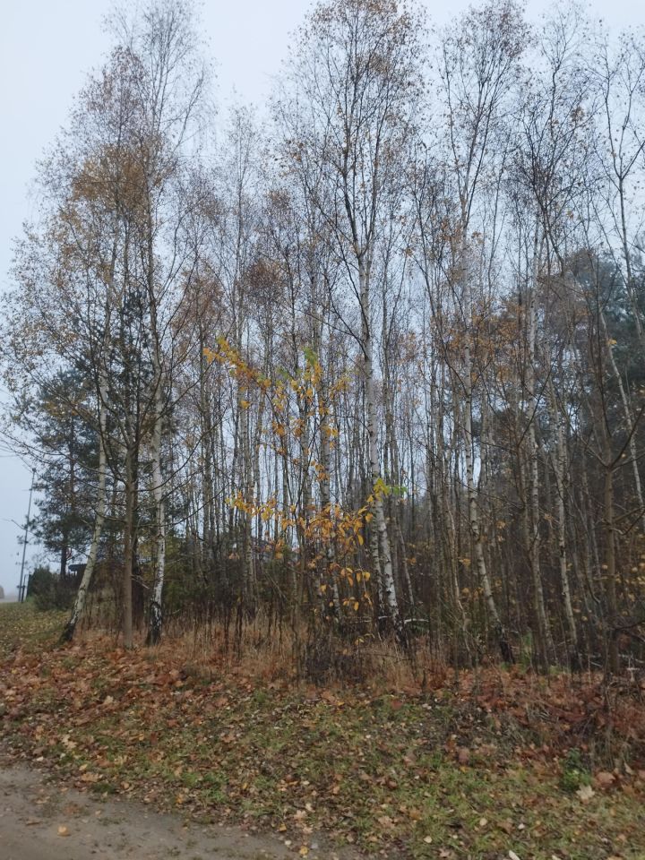 Działka budowlana Kalisz Pomorski, ul. Na Skarpie. Zdjęcie 4