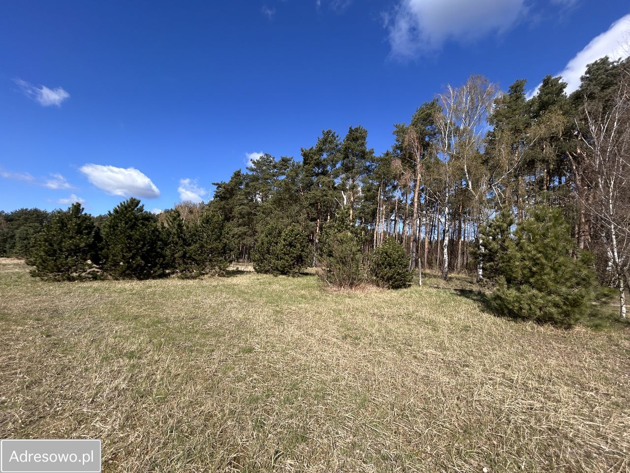 Działka budowlana Tylewice. Zdjęcie 3