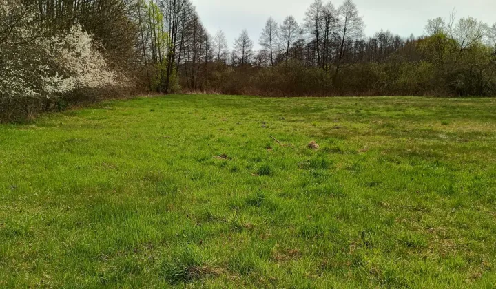 Działka rolno-budowlana Zwoleń, ul. dr. Perzyny