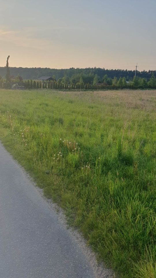 Działka inwestycyjna Sarbia. Zdjęcie 12