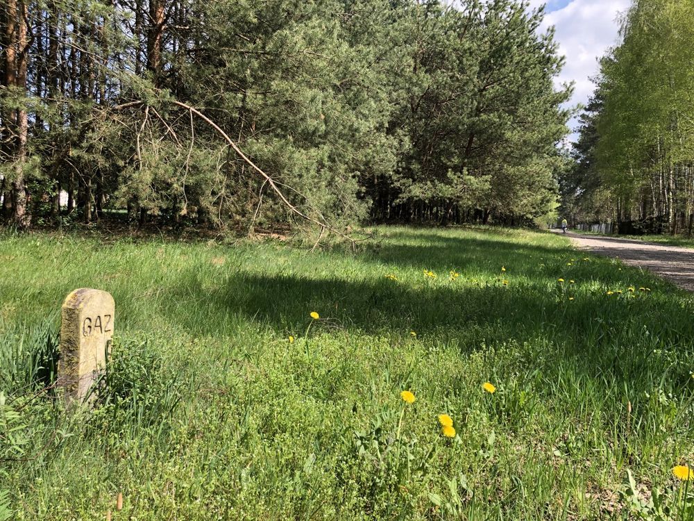 Działka rolno-budowlana Wólka Leśna. Zdjęcie 5