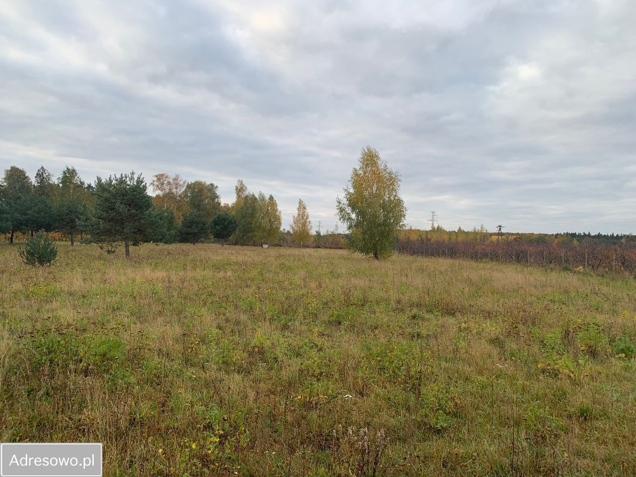 Działka rolna Podole. Zdjęcie 5