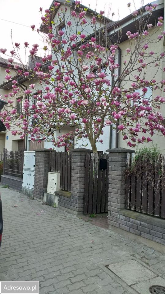 dom szeregowy, 5 pokoi Mińsk Mazowiecki, ul. Mariana Langiewicza. Zdjęcie 8