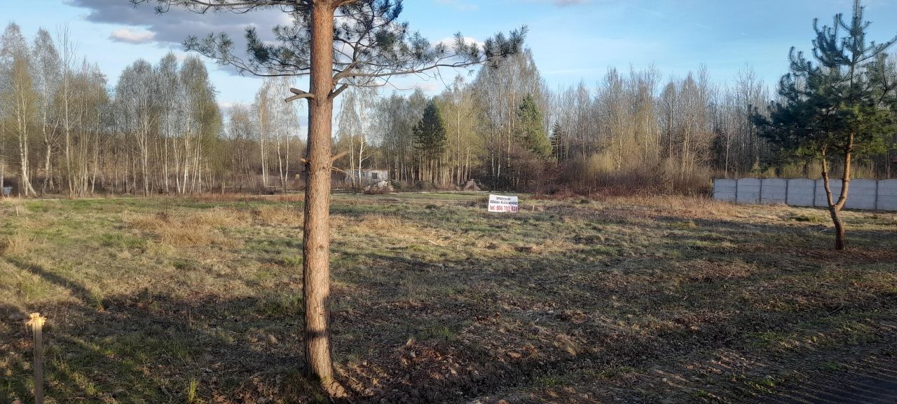 Działka budowlana Samsonów-Podlesie. Zdjęcie 1