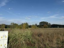 Działka rolna Marków-Towarzystwo. Zdjęcie 3