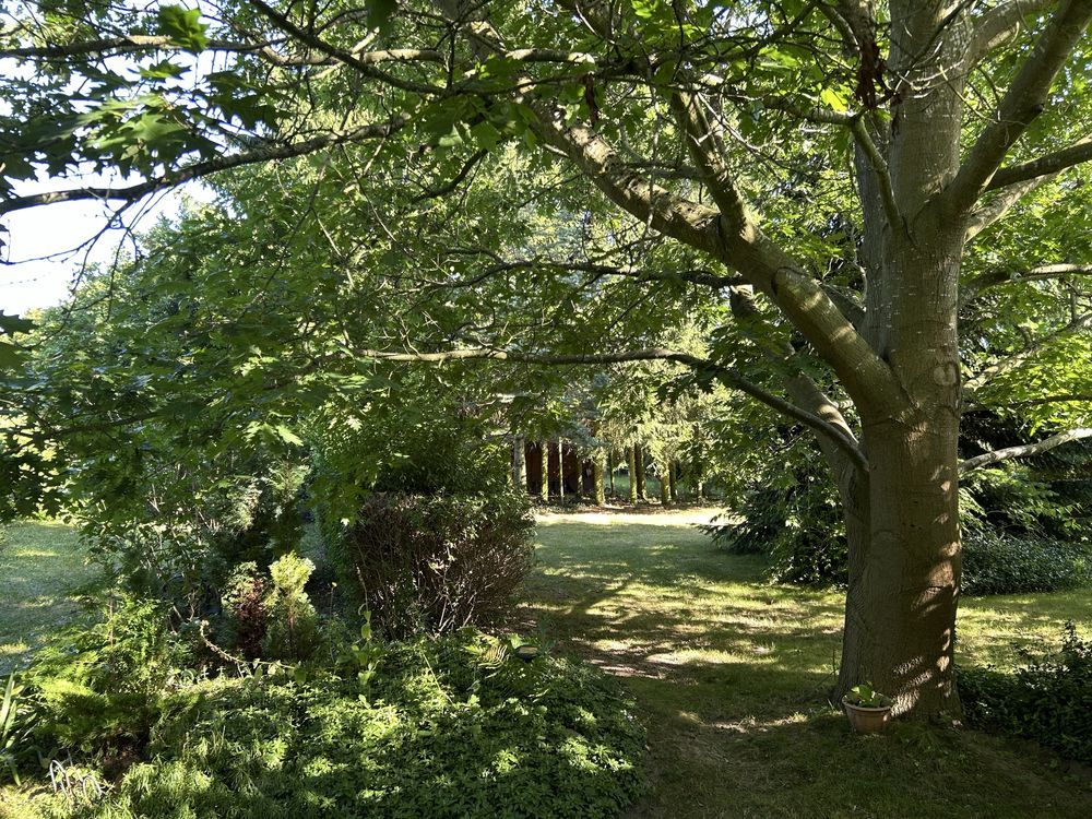 dom wolnostojący Debrzno. Zdjęcie 8