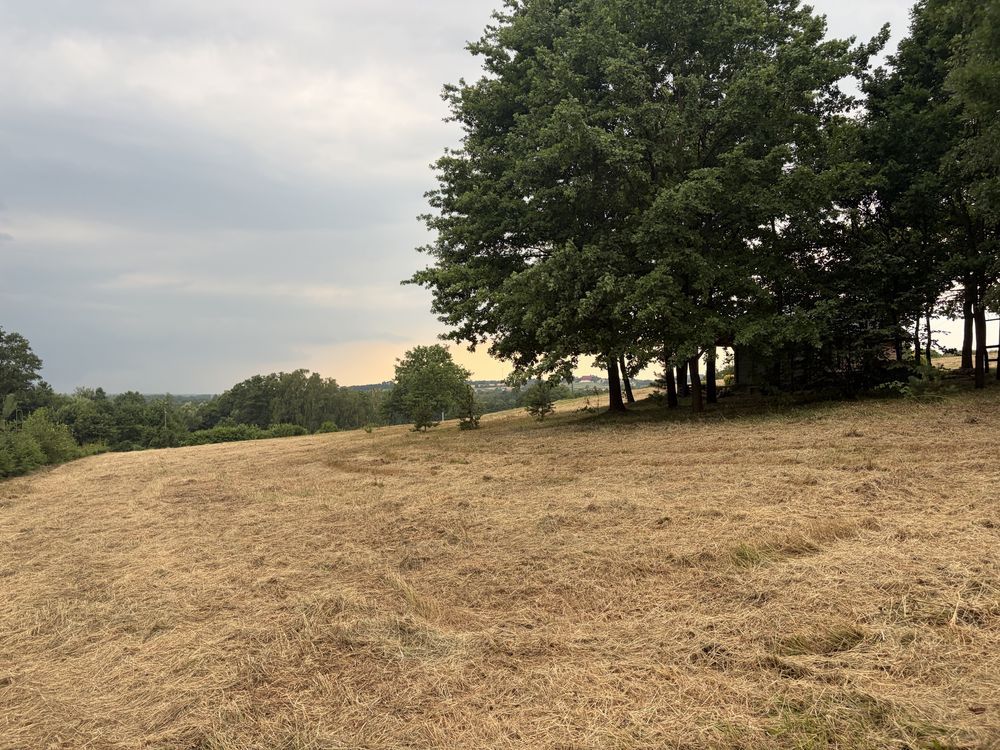 Działka budowlana Czyżów. Zdjęcie 1