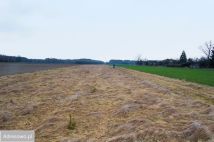 Działka rolna Przybyłów. Zdjęcie 3