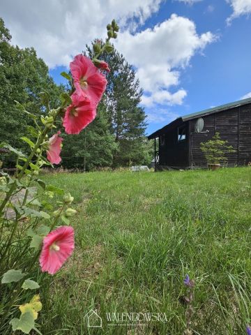 Działka rekreacyjna Krzynia. Zdjęcie 5