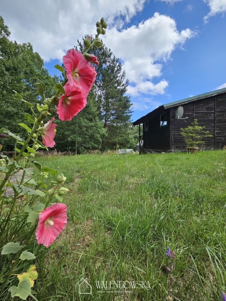 Działka rekreacyjna Krzynia. Zdjęcie 5