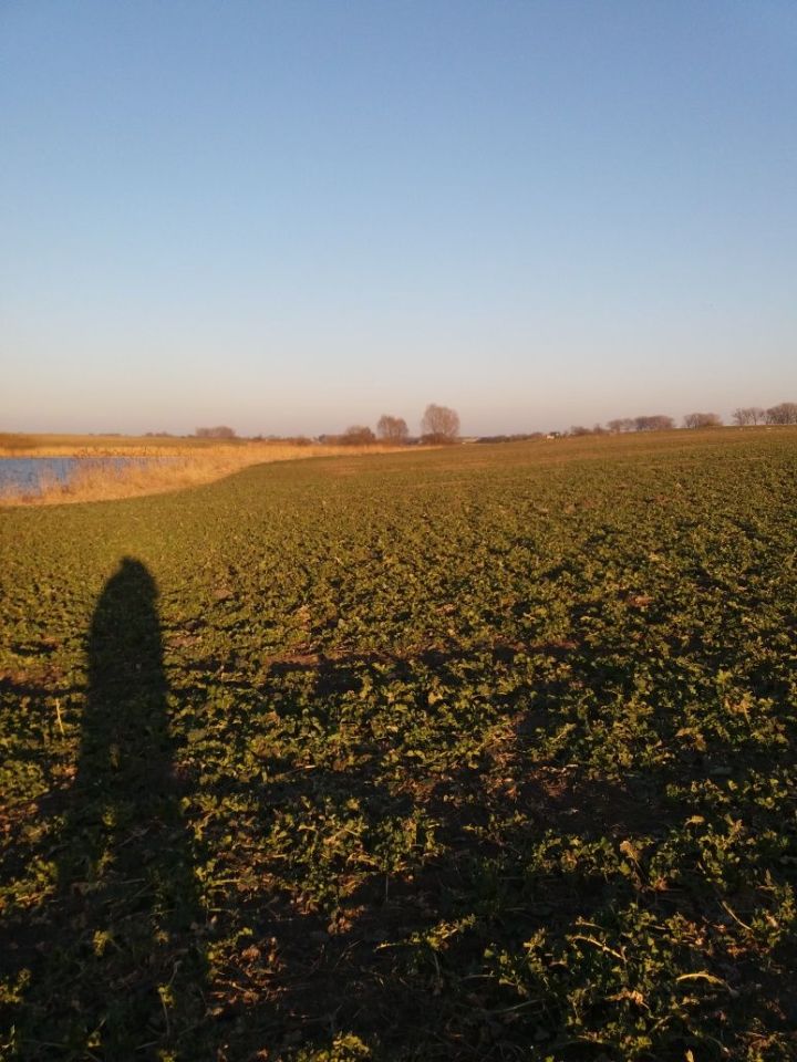 Działka rolna Kuczwały. Zdjęcie 4