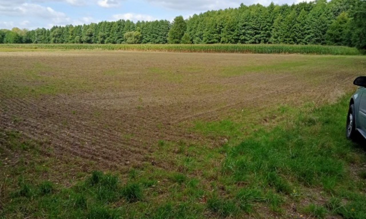 Działka inwestycyjna Dębina, ul. Polna. Zdjęcie 9