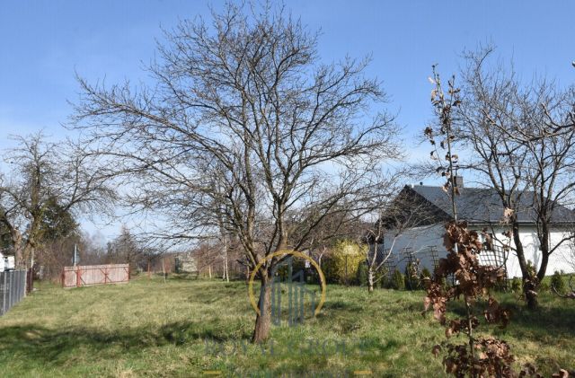 Działka siedliskowa Annobór-Kolonia. Zdjęcie 5