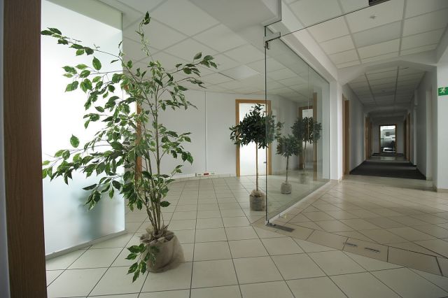 Biuro Poznań Nowe Miasto, ul. Warszawska. Zdjęcie 5