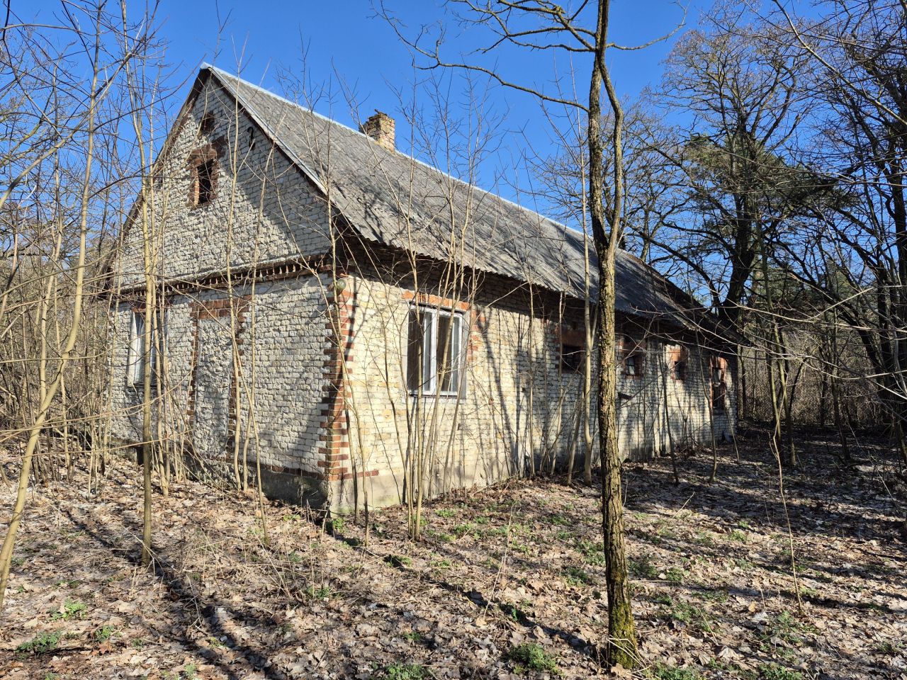 Działka siedliskowa Kuczki. Zdjęcie 5