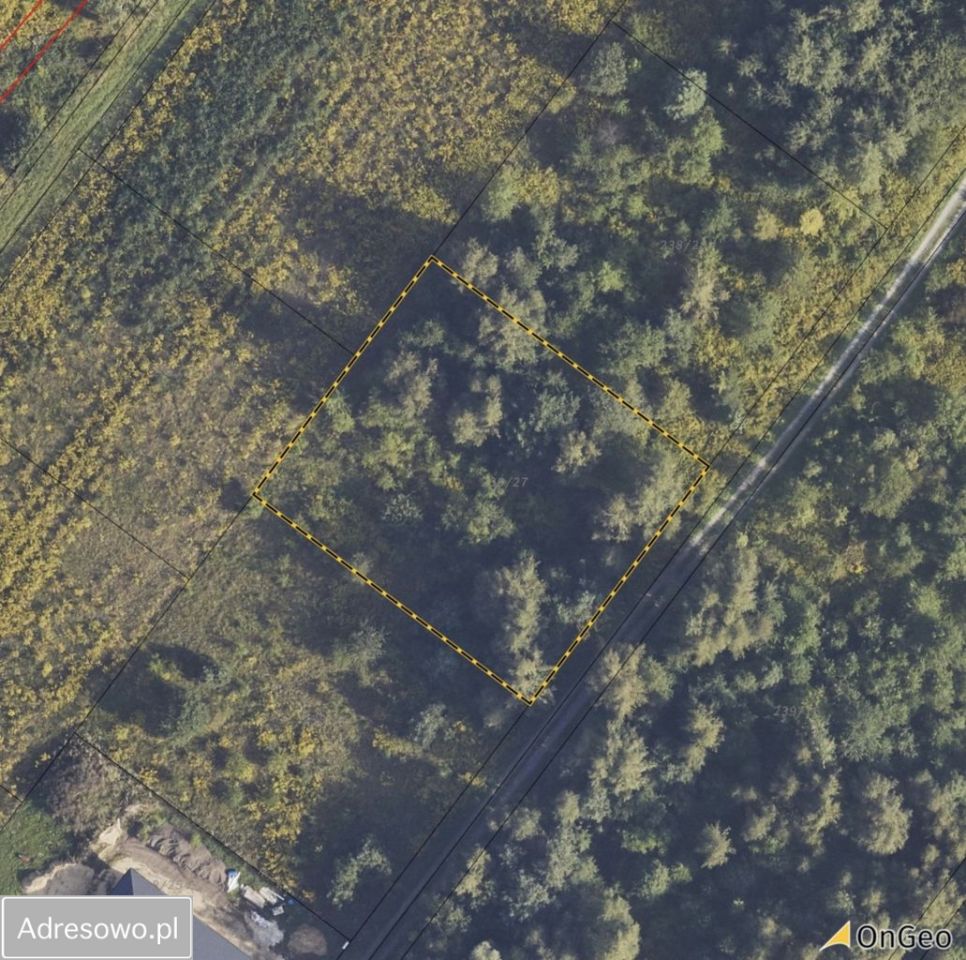 Działka rolno-budowlana Bielicha, ul. Aroniowa. Zdjęcie 4