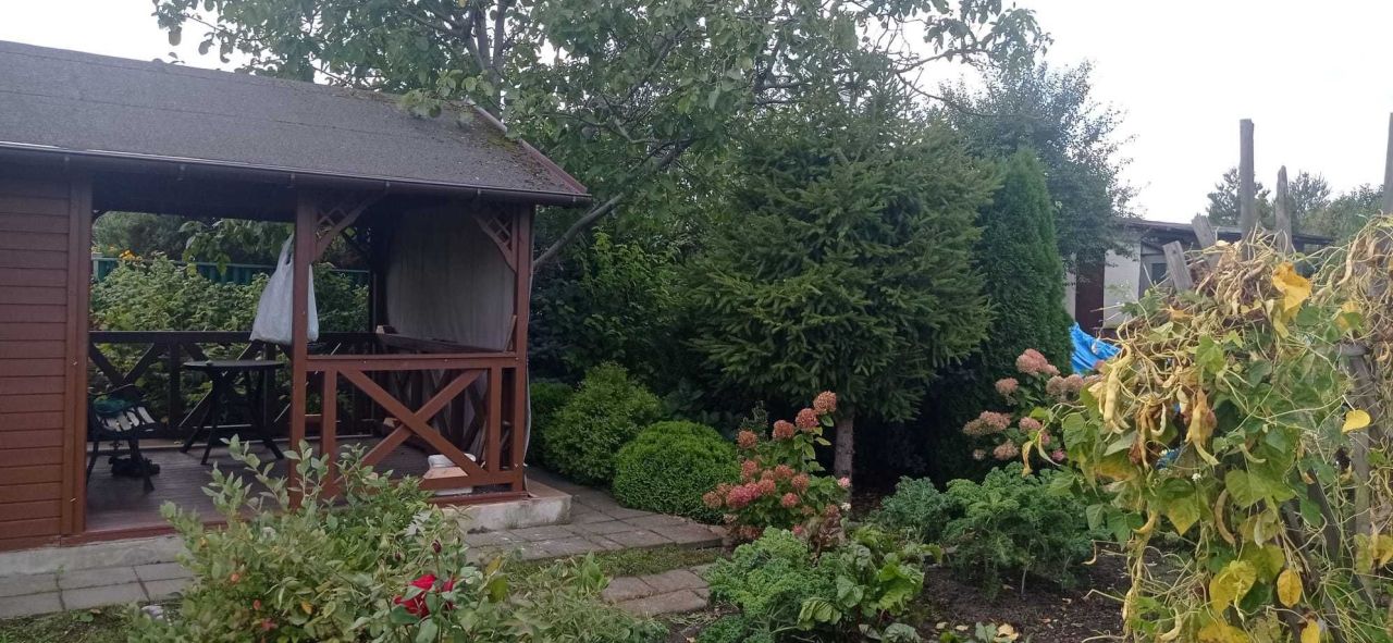 Działka rod Ostrów Wielkopolski, ul. Wysocka. Zdjęcie 7